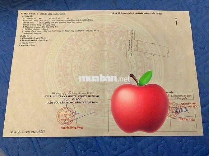 Bán lô đất kinh doanh, nhà biệt thự