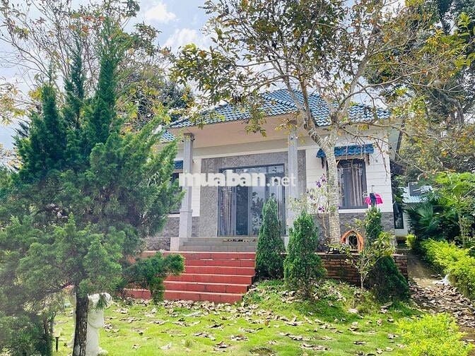 Nhà vườn nghỉ dưỡng Bảo Lộc - 1507,2m2 (37x40m) ngay gần trung tâm