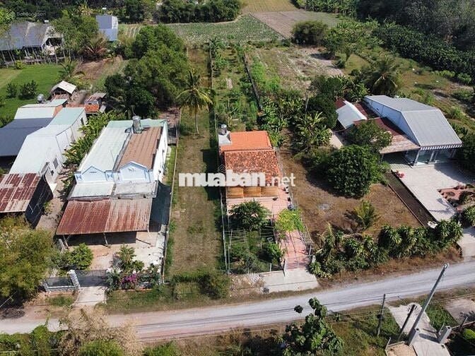 CHỦ CẦN BÁN LÔ ĐẤT 650 M2 XÃ AN TỊNH , TRẢNG BÀNG TÂY NINH GIÁ 1 TỶ