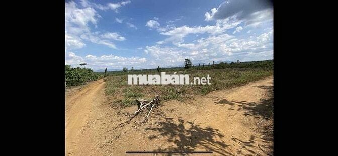 Bán 3 xào 3MT đất Lộc An cách đường cách quốc lộ 20 tầm 2km