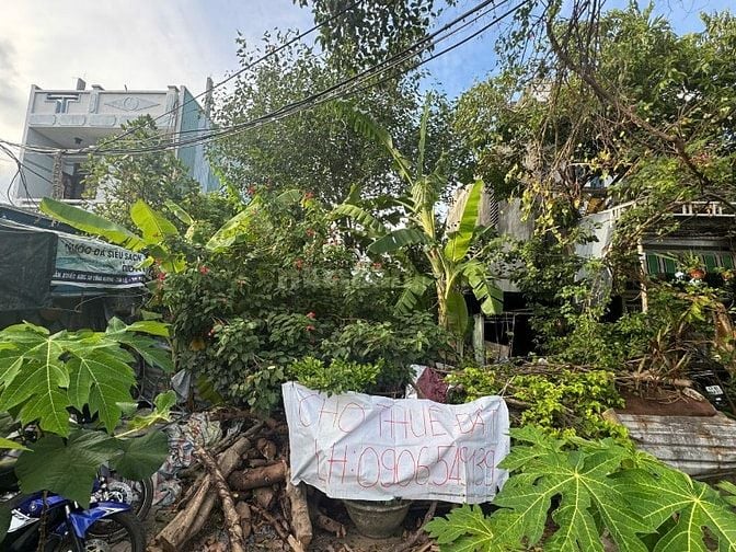 Cho thuê đất tại 98 Phạm Hữu Nghi