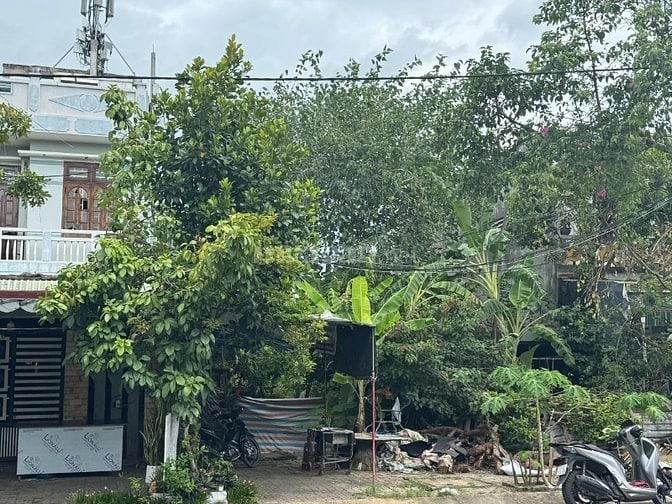 Cho thuê đất tại 98 Phạm Hữu Nghi