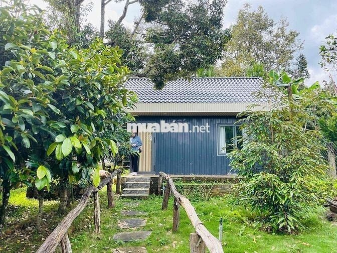 Nhà vườn nghỉ dưỡng Bảo Lộc - 1507,2m2 (37x40m) ngay gần trung tâm