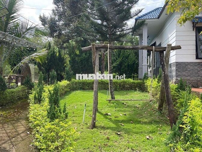 Nhà vườn nghỉ dưỡng Bảo Lộc - 1507,2m2 (37x40m) ngay gần trung tâm