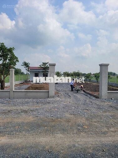 Đất vườn có thổ 1630m2 Đ.Hùng Vương Gò Dầu cách chợ 500m, SHR, 1,5 tỷ