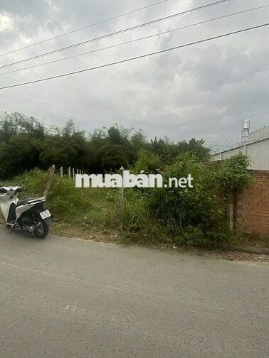 🏡 BÁN ĐẤT MẶT TIỀN ĐƯỜNG DX124