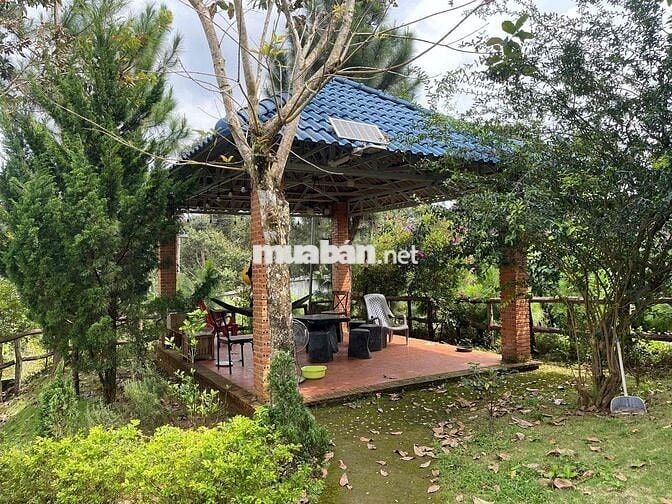 Nhà vườn nghỉ dưỡng Bảo Lộc - 1507,2m2 (37x40m) ngay gần trung tâm