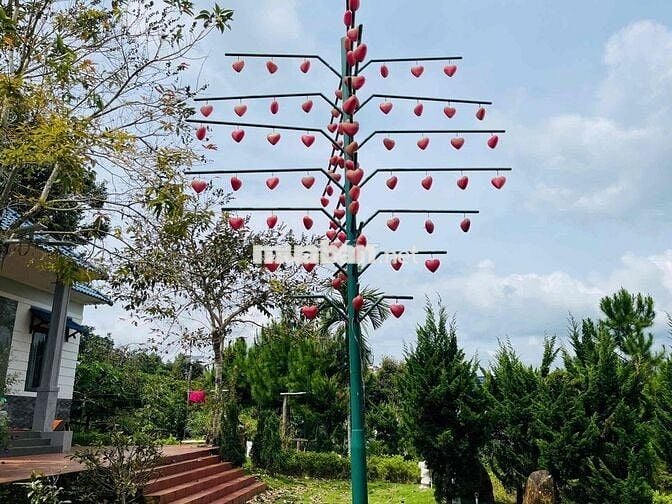 Nhà vườn nghỉ dưỡng Bảo Lộc - 1507,2m2 (37x40m) ngay gần trung tâm