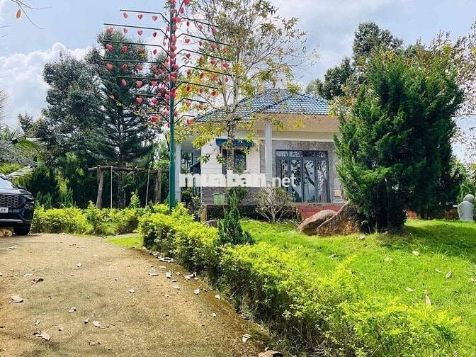 Nhà vườn nghỉ dưỡng Bảo Lộc - 1507,2m2 (37x40m) ngay gần trung tâm