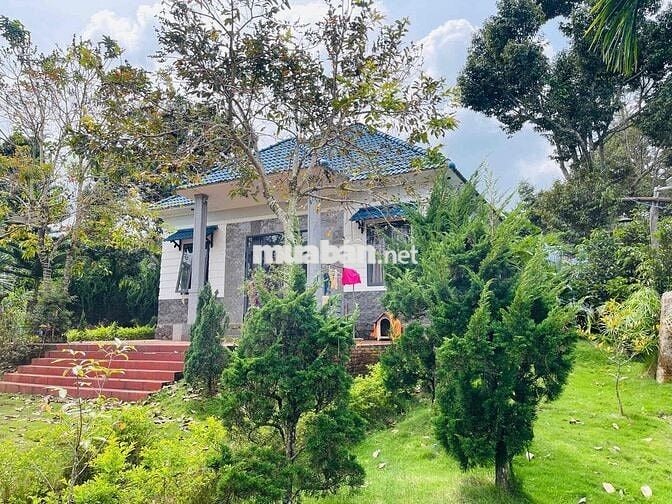 Nhà vườn nghỉ dưỡng Bảo Lộc - 1507,2m2 (37x40m) ngay gần trung tâm