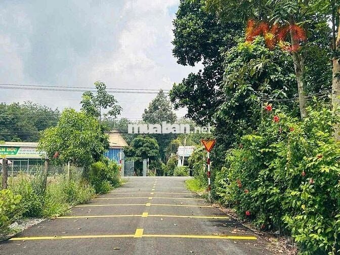 Ngộp NGÂN HÀNG THANH LÝ LÔ ĐẤT 817m2 150 TC MT Đường TẠO LỰC QH 65m