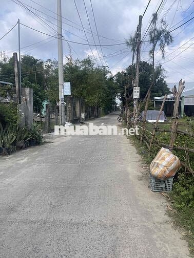 🌿 BÁN ĐẤT SỔ CHUNG HÀ DỪA – ĐƯỜNG BÊ TÔNG 5M DŨNG SỸ ĐIỆN NGỌC 🌿