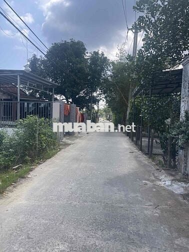 🌿 BÁN ĐẤT SỔ CHUNG HÀ DỪA – ĐƯỜNG BÊ TÔNG 5M DŨNG SỸ ĐIỆN NGỌC 🌿