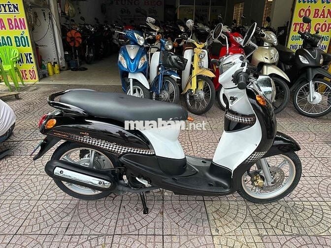 classico zin dep vĩnh long