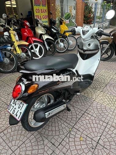 classico zin dep vĩnh long