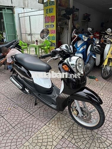 classico zin dep vĩnh long