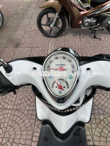 classico zin dep vĩnh long