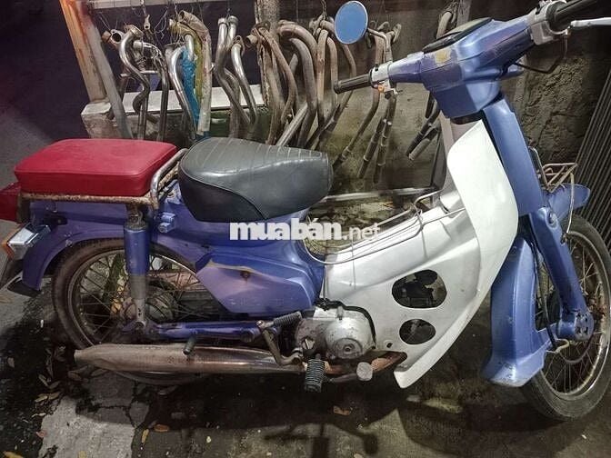 Bán cúp 82 màu xanh giấy đầy đủ biến 79