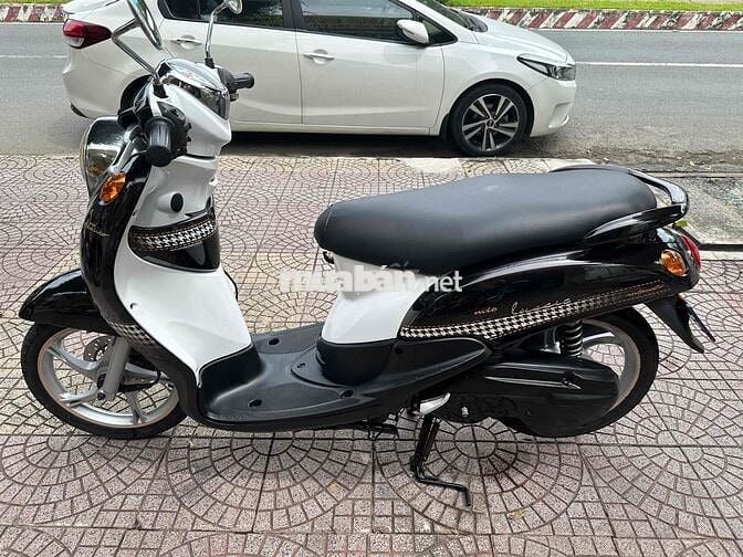 classico zin dep vĩnh long