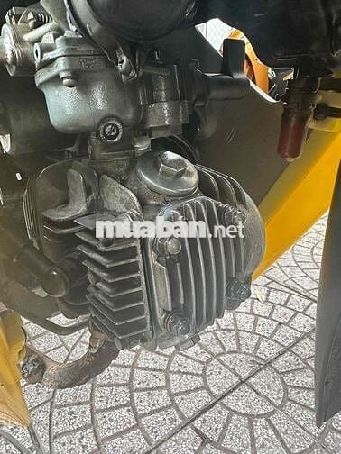 anpha 2011 zin dep vĩnh long