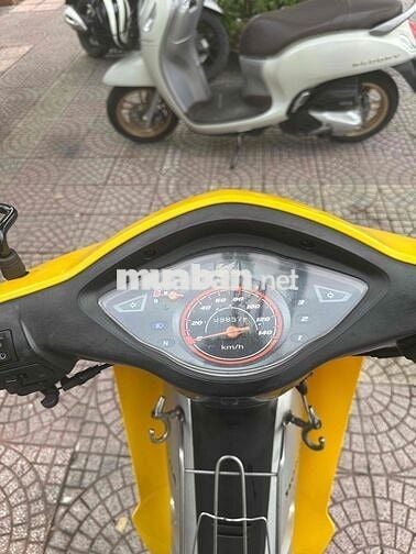 anpha 2011 zin dep vĩnh long