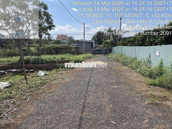 Bán đất full thổ khu dân cư hiện hữu Lộc An ngay trường học Tây Sơn