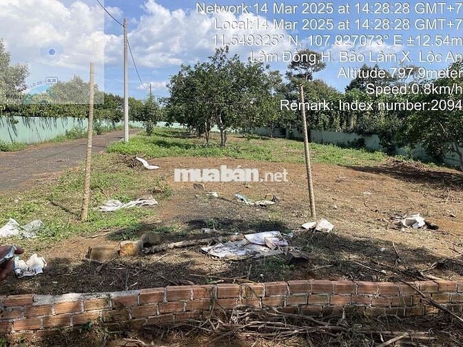 Bán đất full thổ khu dân cư hiện hữu Lộc An ngay trường học Tây Sơn