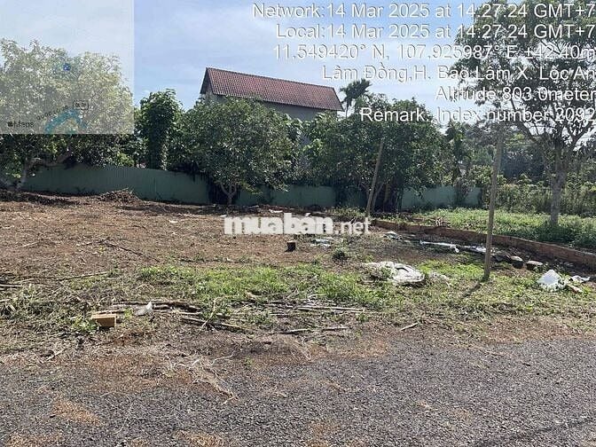 Bán đất full thổ khu dân cư hiện hữu Lộc An ngay trường học Tây Sơn