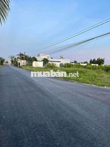 Bán đất mặt tiền đường nhựa , Phường Long Thuận