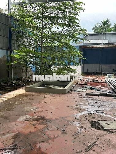 cho thuê mặt bằng kinh doanh /văn phòng/ cửa hàng