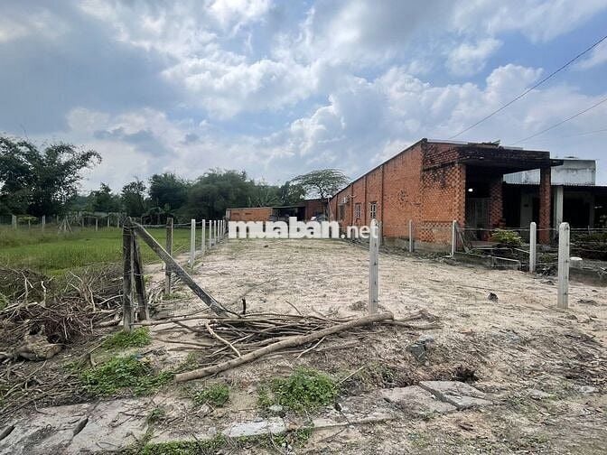 BÁN ĐẤT 1/ TỈNH LỘ 7 THÁI MỸ - THỔ CƯ 100% - SHR