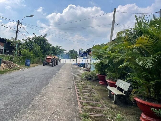 BÁN ĐẤT 1/ TỈNH LỘ 7 THÁI MỸ - THỔ CƯ 100% - SHR