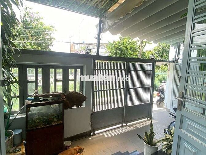 NHÀ CHÍNH CHỦ CHO THUÊ TẦNG TRỆT LỐI ĐI RIÊNG KHÔNG CHUNG CHỦ