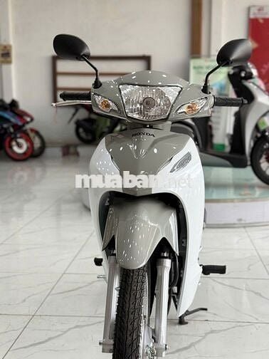 🔥Góp 0đ🔥 Wave alpha cổ điển xám trắng 2025