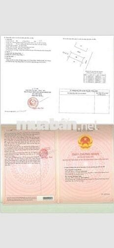 Góc 2 mặt tiền 480/ Mã Lò P.BHHA 4x12.6 hẻm 8m 4tỷ 550 triệu