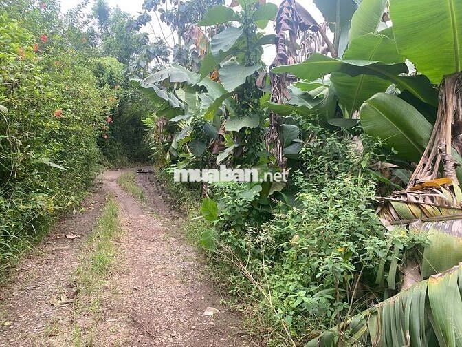 BÁN 7387M2 ĐẤT CÓ HAI MẶT TIỀN,DÂN CƯ XUNG QUANH,THÍCH HỢP PHÂN LÔ