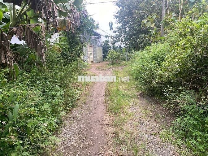 BÁN 7387M2 ĐẤT CÓ HAI MẶT TIỀN,DÂN CƯ XUNG QUANH,THÍCH HỢP PHÂN LÔ