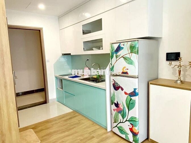 CHÍNH CHỦ BÁN GẤP CĂN STUDIO RẺ THỊ TRƯỜNG  GIÁ 2TỶ350 TẠI VHOCP1