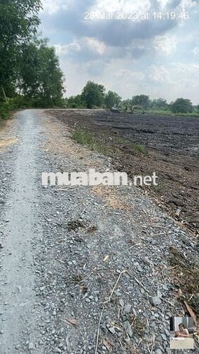 Đất CLN 6.883m2 đường tỉnh lộ 15, gần bến đò Cá Lăng. Ngợp cần bán!!!