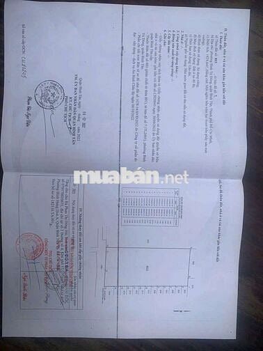 HOT CHỈ 46TR/M2 - TRƯƠNG PHƯỚC PHAN - 26X56M - HẺM XE HƠI - 65 TỶ TL