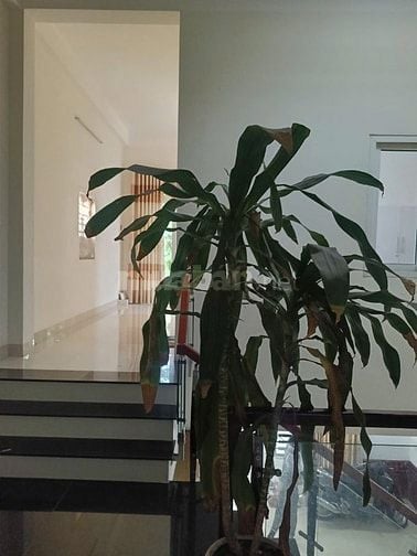 🌪️ LÔ MẶT TIỀN HỒ SỸ DƯƠNG – 2 TẦNG NGUYÊN ZIN – NỞ HẬU – VIEW CÔNG V