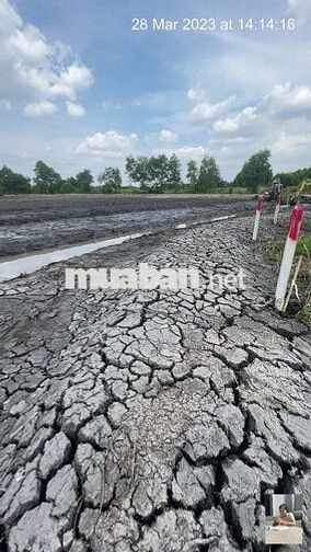 Đất CLN 6.883m2 đường tỉnh lộ 15, gần bến đò Cá Lăng. Ngợp cần bán!!!