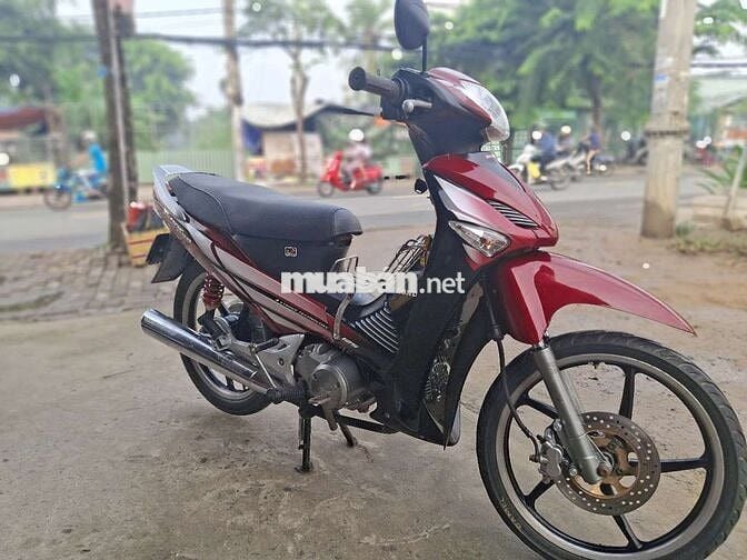 FU NEO HÀN QUỐC .BS 61 CÀ VẸT ĐẦY ĐỦ