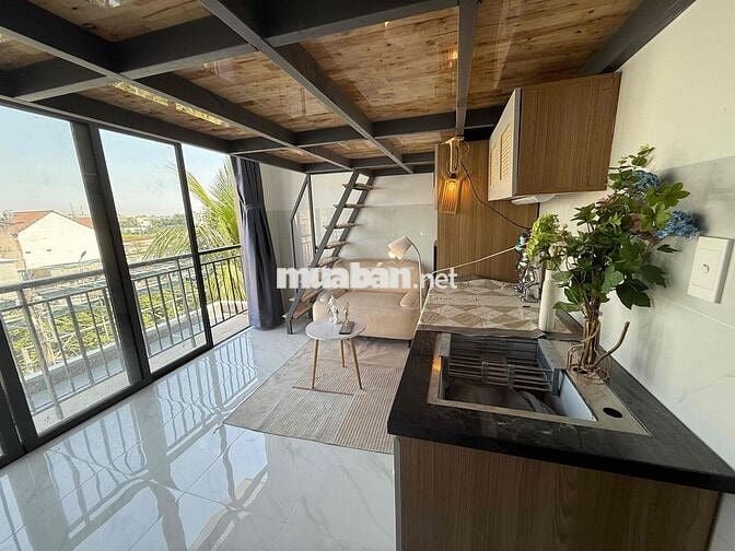 Khai trương p có gác và k gác giữa NTT và IUH, Văn Lang