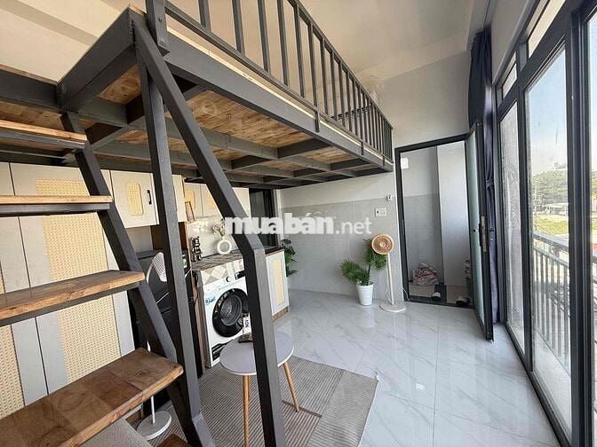 Khai trương p có gác và k gác giữa NTT và IUH, Văn Lang