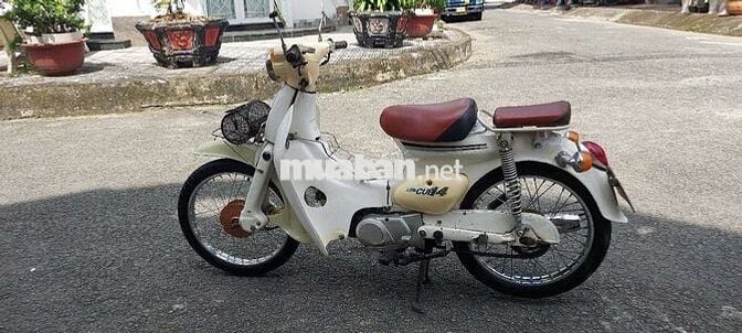 Cúp 50 đời 81 bs65