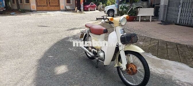 Cúp 50 đời 81 bs65