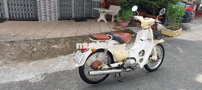 Cúp 50 đời 81 bs65