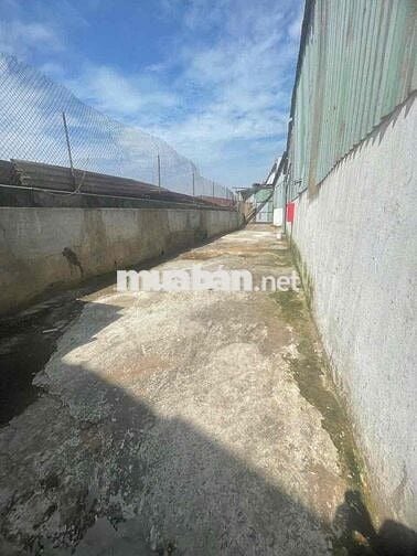 💥Cho Thuê Xưởng Khánh Bình Tân Uyên Bình Dương 💥💥 - Tổng diện tích đất