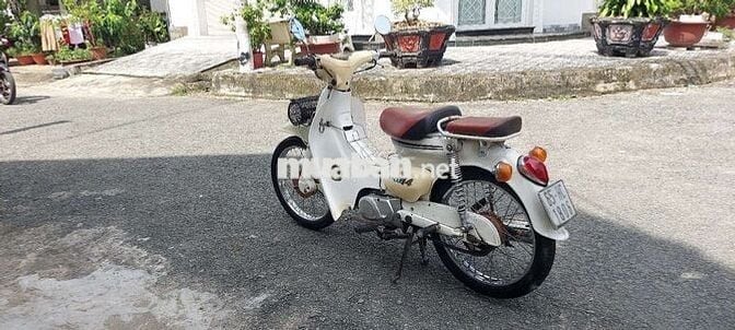 Cúp 50 đời 81 bs65